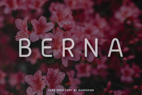 Berna: A Neat Sans Serif Font for Editorial Design