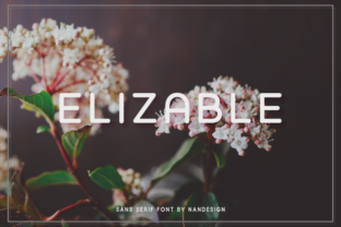 Elizable Typeface Review for Modern Branding