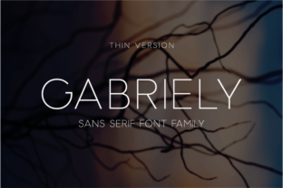 Gabriely Thin: A Modern Sans Serif Typeface for Minimalist Brands