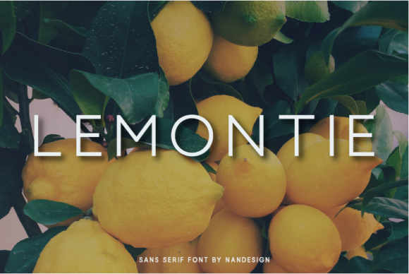 Lemontie Font Review: A Classy Sans Serif for Modern Design