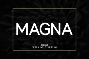 Magna Extra Bold: A Modern Sans Serif Typeface for Web Design