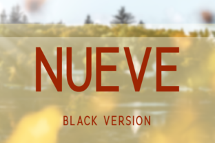 Nueve Black: The Bold Typeface for Clear Campaigns