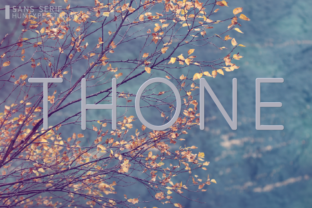 Thone Font: A Modern Typeface for Small Business Branding